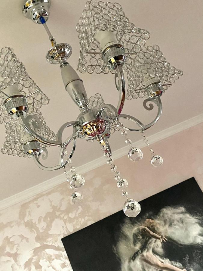 Tribunal Apartament Langa Faleza Dunarii 브러일라 외부 사진